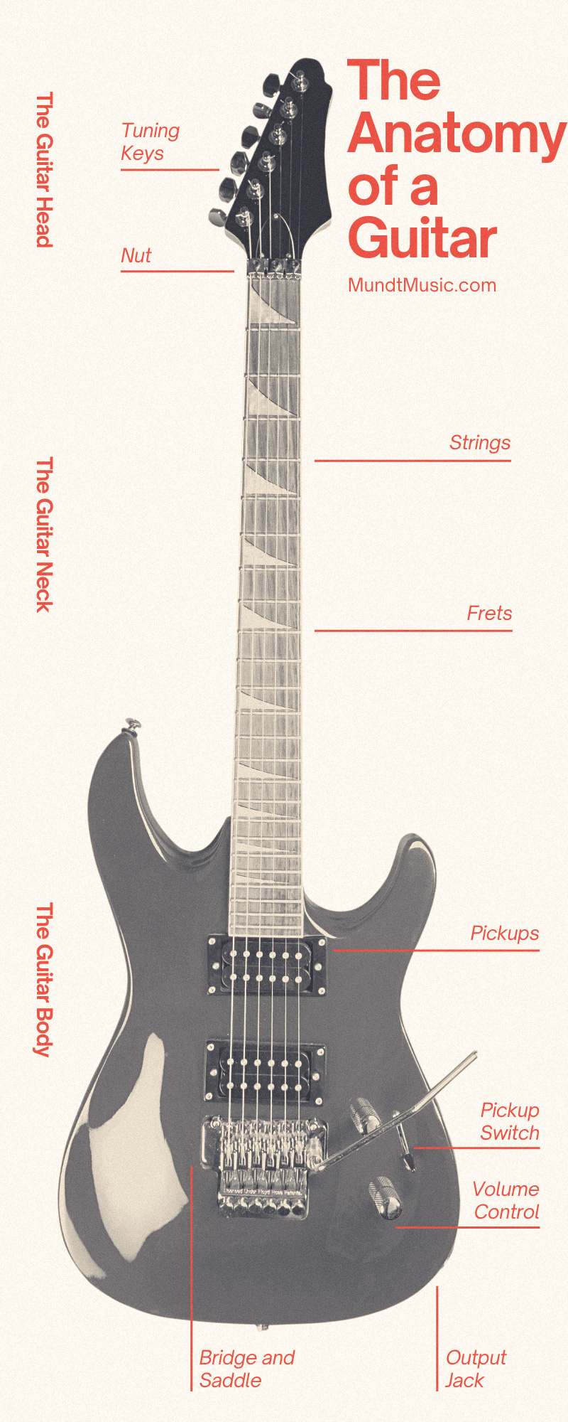 The Anatomy of a Guitar