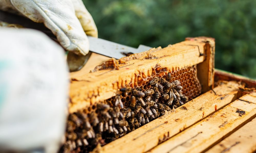 4 Ancient Careers That Are Still Popular Today