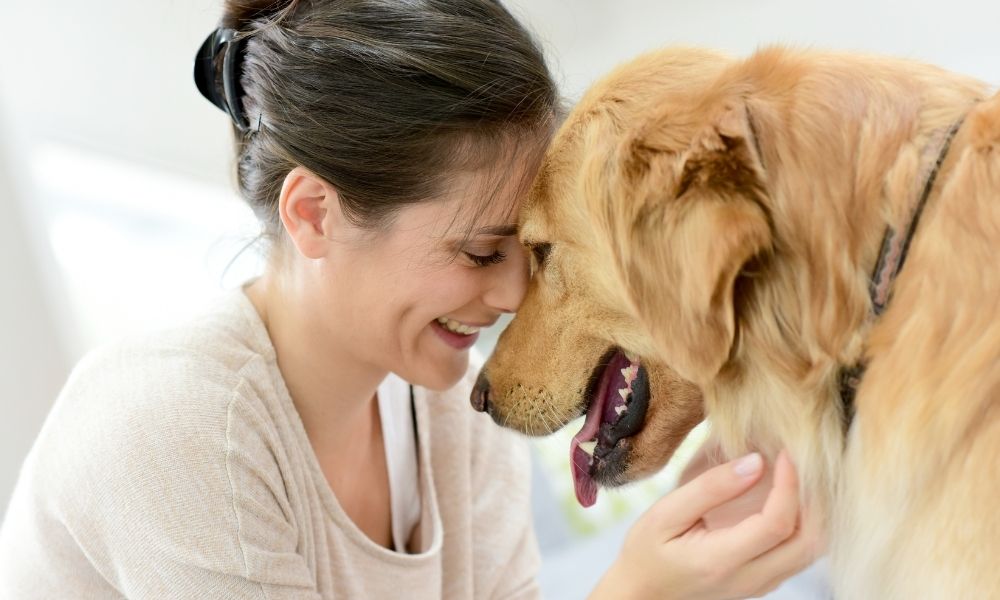 Tips for Caring for a Rescued Dog