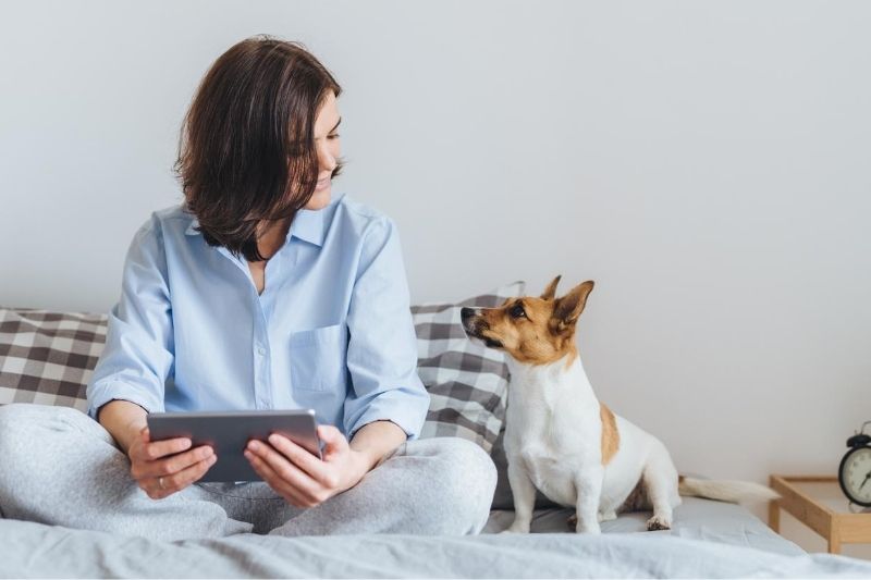 How To Make Your House Smell Good with a Dog