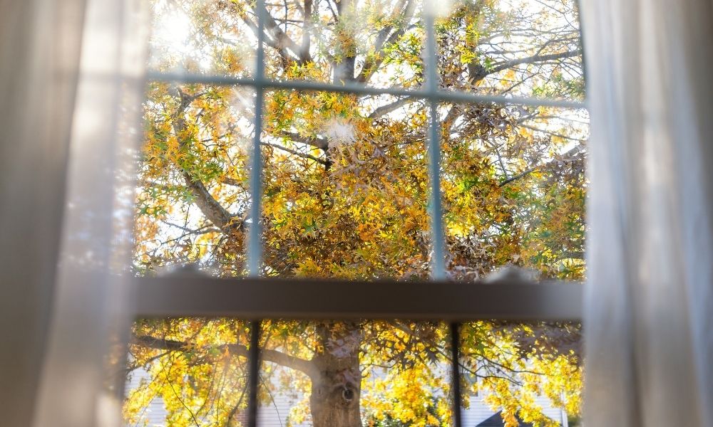 Fall Maintenance Tips for Your Home’s Exterior